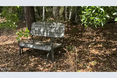 Tbd Darby Lane, Sneads, FL 32460 - Photo 6