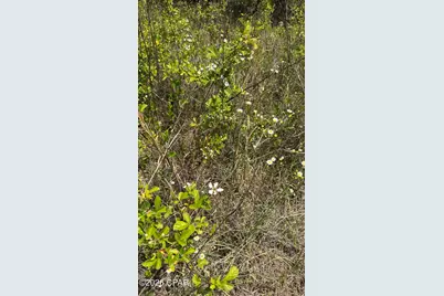 Tbd Darby Lane, Sneads, FL 32460 - Photo 12