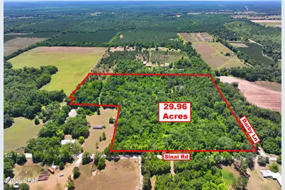 Tbd Darby Lane, Sneads, FL 32460 - Photo 18