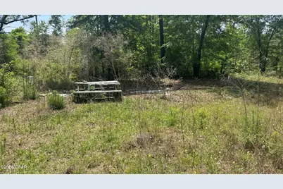 Tbd Darby Lane, Sneads, FL 32460 - Photo 8