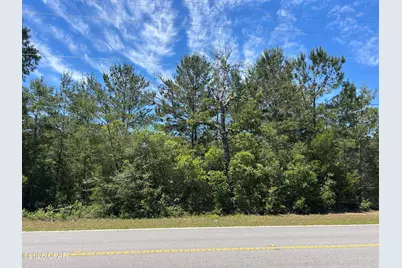 0 Bonnett Pond Road, Chipley, FL 32428 - Photo 4