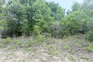 Xxx Sumatra Dr, Chipley, FL 32428 - Photo 1