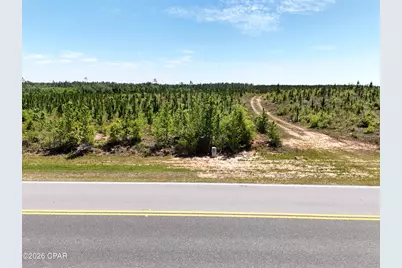 0 NW Cr 73 A, Altha, FL 32421 - Photo 6