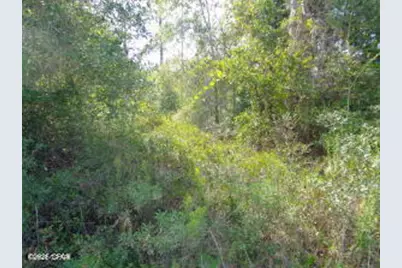 Lot 7 & 8 NW McKenzie Boulevard, Altha, FL 32421 - Photo 4