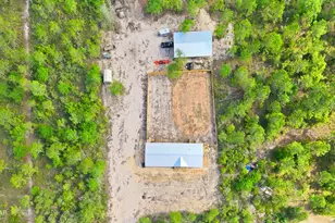4093 NW County Road 274, Altha, FL 32421 - Photo 24