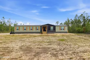 4093 NW County Road 274, Altha, FL 32421 - Photo 2