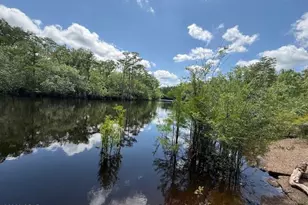 2847 SE Adams St, Kinard, FL 32449 - Photo 40