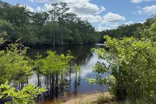 2847 SE Adams St, Kinard, FL 32449 - Photo 38
