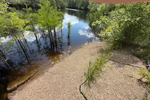 2847 SE Adams St, Kinard, FL 32449 - Photo 38