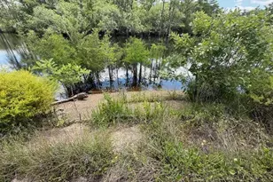 2847 SE Adams St, Kinard, FL 32449 - Photo 36