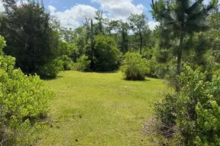 2847 SE Adams St, Kinard, FL 32449 - Photo 28