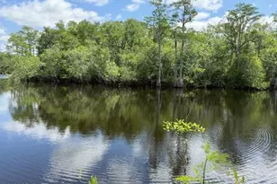 2847 SE Adams St, Kinard, FL 32449 - Photo 30
