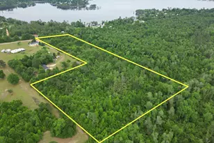 000 Lakepoint Rd, Alford, FL 32420 - Photo 1