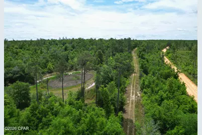 Tbd Pittman Hill Road, Marianna, FL 32448 - Photo 2