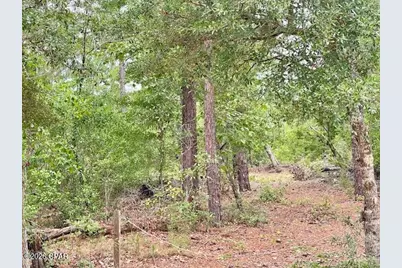 0 E Dixie Drive, Marianna, FL 32448 - Photo 2