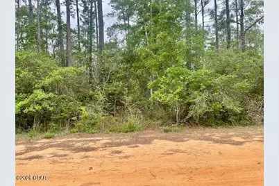 0 E Dixie Drive, Marianna, FL 32448 - Photo 6