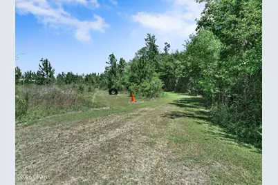 17668 Flatwoods Road, Altha, FL 32421 - Photo 26