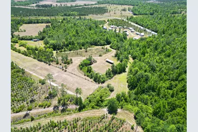 17668 Flatwoods Road, Altha, FL 32421 - Photo 4