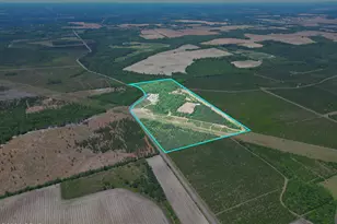 17668 Flatwoods Rd, Altha, FL 32421 - Photo 1
