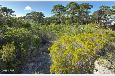 105 Sand Trace Drive, Cape San Blas, FL 32456 - Photo 8