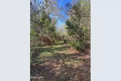 3445 Highway 162, Marianna, FL 32446 - Photo 22