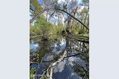 3445 Highway 162, Marianna, FL 32446 - Photo 30