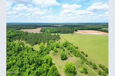 3445 Highway 162, Marianna, FL 32446 - Photo 6