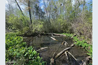 3445 Highway 162, Marianna, FL 32446 - Photo 28