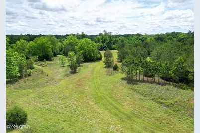 3445 Highway 162, Marianna, FL 32446 - Photo 4