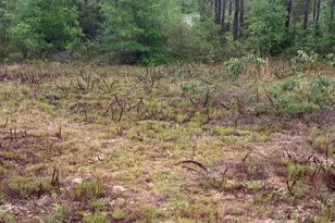 811 Tashanna Ln, Panama City, FL 32409 - Photo 4