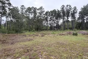 811 Tashanna Ln, Panama City, FL 32409 - Photo 2