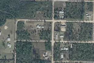 Lot 11 Magnolia St, Fountain, FL 32438 - Photo 2