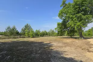 10275 E Hwy 20, Youngstown, FL 32466 - Photo 2