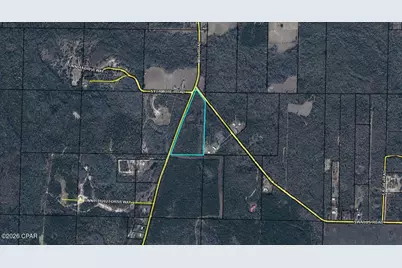 Tbd Mill Road, Alford, FL 32420 - Photo 2