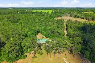 5389 E County Hwy 181, Westville, FL 32464 - Photo 16