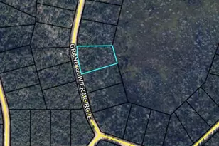 Xx Grand Quiviera Circle, Marianna, FL 32448 - Photo 1