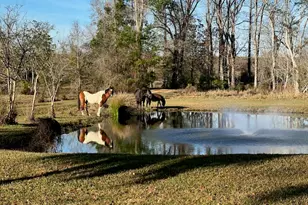2599 Alton Ln, Chipley, FL 32428 - Photo 10