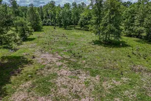 2599 Alton Ln, Chipley, FL 32428 - Photo 44