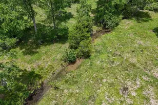 2599 Alton Ln, Chipley, FL 32428 - Photo 42