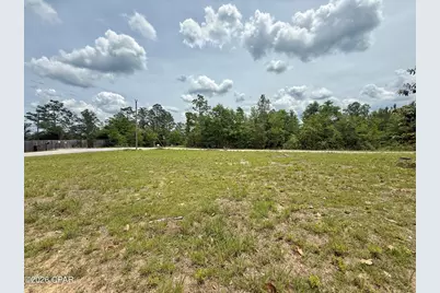 101 Silver Lake Road, Marianna, FL 32448 - Photo 4