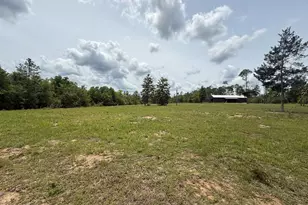101 Silver Lake Rd, Marianna, FL 32448 - Photo 1