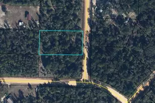 0 Empire Ave, Alford, FL 32420 - Photo 1