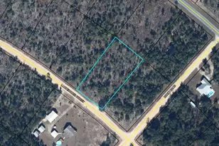 0 Cherokee St, Marianna, FL 32446 - Photo 1