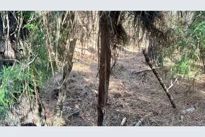 K Grimes Road, Laurel Hill, FL 32567 - Photo 10