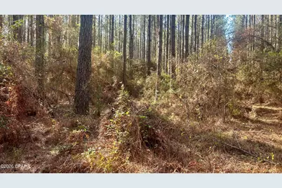 K Grimes Road, Laurel Hill, FL 32567 - Photo 16