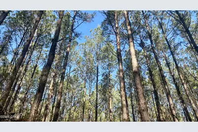 K Grimes Road, Laurel Hill, FL 32567 - Photo 8