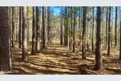 K Grimes Road, Laurel Hill, FL 32567 - Photo 4