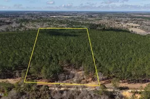 K Grimes Rd, Laurel Hill, FL 32567 - Photo 1