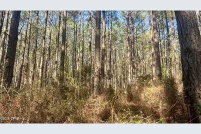 K Grimes Road, Laurel Hill, FL 32567 - Photo 6