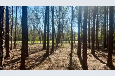 K Grimes Road, Laurel Hill, FL 32567 - Photo 18